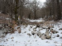 2026-03-21 Monte Ginepro 184